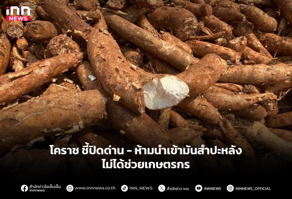 โคราช ชี้ปิดด่าน-ห้ามนำเข้ามันสำปะหลัง ไม่ได้ช่วยเกษตรกร