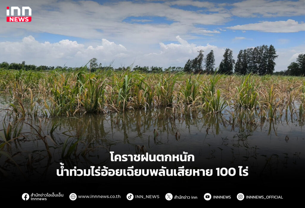 โคราชฝนตกหนัก น้ำท่วมไร่อ้อยเฉียบพลันเสียหาย 100ไร่
