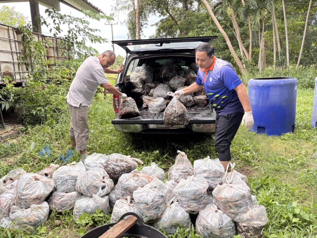 กรมประมง เผย ยอดรับซื้อปลาหมอคางดำทะลุ 2.8 ล้านกิโลกรัม