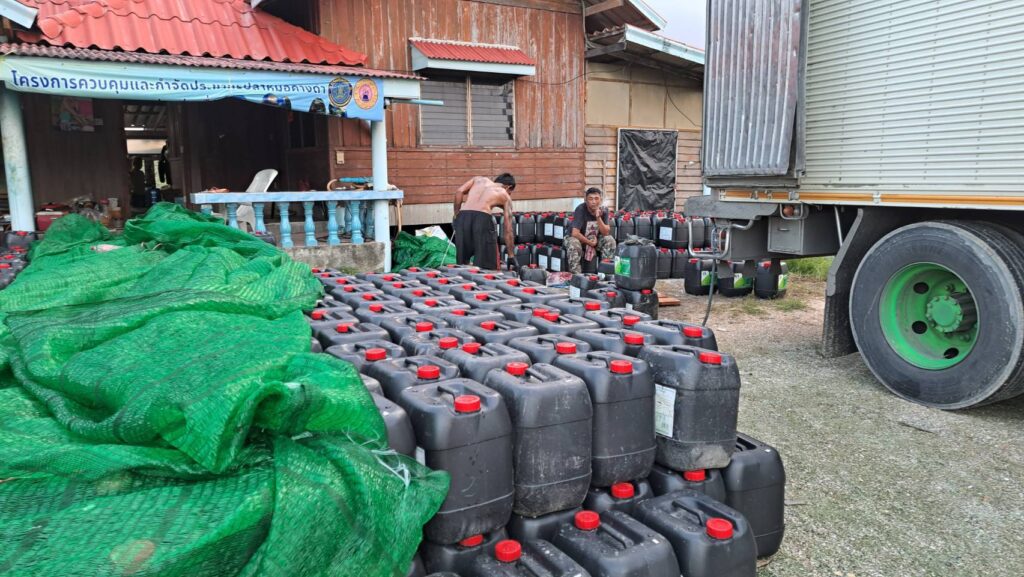 กรมประมง เผย ยอดรับซื้อปลาหมอคางดำทะลุ 2.8 ล้านกิโลกรัม