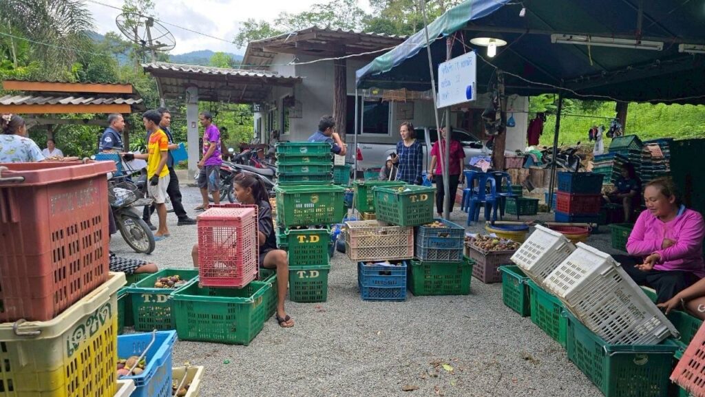 พาณิชย์ ลุย ช่วยมังคุดนครฯ ดึงห้างค้าส่ง-ค้าปลีก ล้ง เข้าซื้อ 