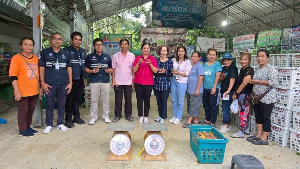 พาณิชย์ ลุย ช่วยมังคุดนครฯ ดึงห้างค้าส่ง-ค้าปลีก ล้ง เข้าซื้อ 