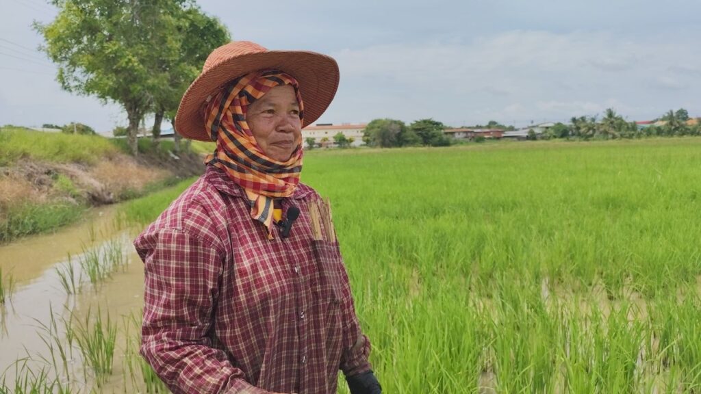 ชาวนาโคราช วอนรัฐแก้ปัญหาราคาข้าวตกต่ำ