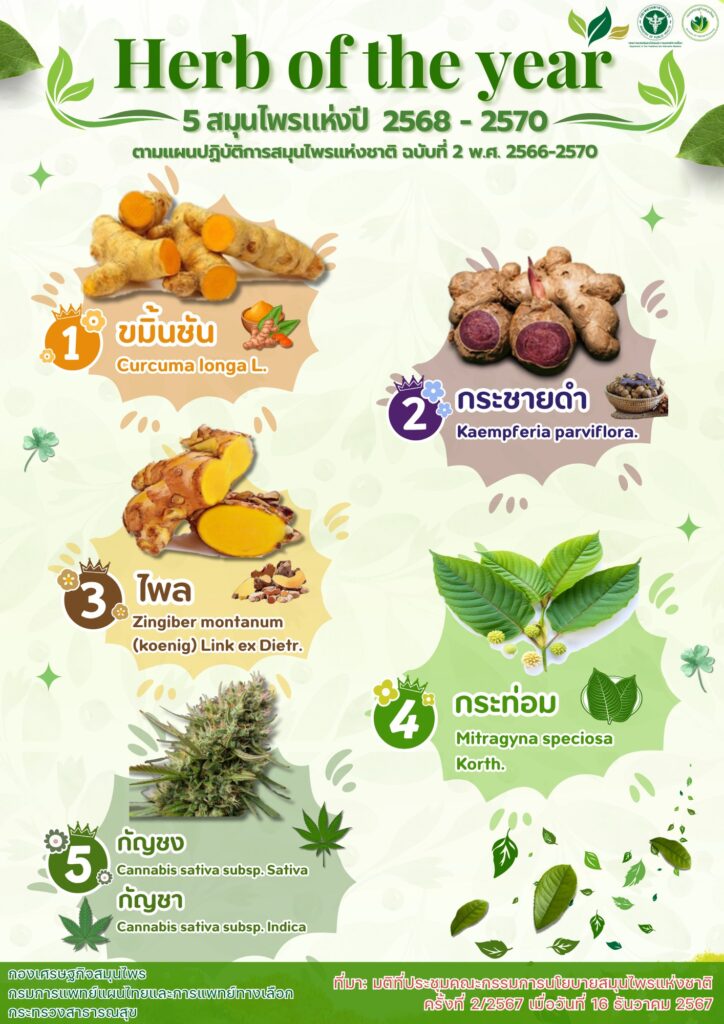 ภูมิปัญญาไทย สมุนไพรไทย สร้างคุณค่าเศรษฐกิจไทย