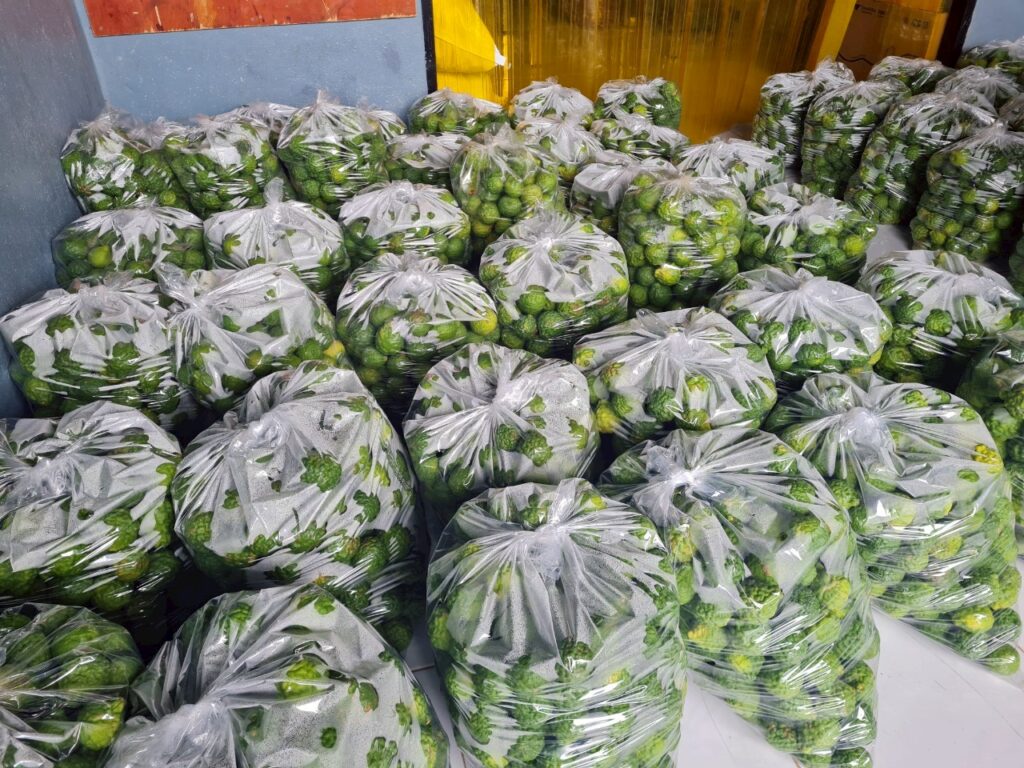 ด้านนางสาวครึงนุข วงศ์เย็น อายุ 40 ปี เกษตรกรชาวจังหวัดอุบลราชธานี กล่าวว่า ตนเดินทางไกลกว่า 6 ชั่วโมง เพื่อมาเข้าร่วมอบรมในครั้งนี้ เนื่องจากที่ผ่านมาเครือข่ายเกษตรกรที่ตนอยู่ด้วย ซึ่งมีสมาชิกประมาณ 500 ครัวเรือน ทั้งที่ทำเกษตรอินทรีย์และผู้เริ่มต้น ต่างประสบปัญหาผลผลิตล้นตลาด โดยเฉพาะมะกรูดและมะนาวที่ราคาตกต่ำมากในช่วงหน้าฝน ปัญหานี้ส่งผลกระทบโดยตรงต่อรายได้และคุณภาพชีวิตของเกษตรกร ตนมองว่าการอบรมครั้งนี้เปิดมุมมองใหม่ เพราะปัจจุบันยังคงขายตรงให้กับผู้บริโภครายย่อยในตลาดเกษตรอินทรีย์ ซึ่งเป็นข้อดีสำหรับเกษตรกรรายย่อย แต่ยังไม่สามารถจัดการกับผลผลิตที่ล้นตลาดได้ ตนจึงพยายามมองหาโอกาสใหม่ๆ เช่น การร่วมมือกับผู้ประกอบการหรือสตาร์ทอัพที่สามารถรับซื้อผลผลิตและนำไปต่อยอดเป็นธุรกิจแปรรูป ซึ่งจะช่วยให้เกษตรกรมีรายได้เพิ่มขึ้น อีกทั้งการรวมกลุ่มจัดตั้งวิสาหกิจชุมชนก็จะช่วยให้สามารถบริหารจัดการด้านการผลิตและการตลาดได้ดียิ่งขึ้น ตนหวังว่าการแปรรูปจะเป็นก้าวสำคัญที่ทำให้เกษตรกรรายย่อยอยู่รอดได้อย่างยั่งยืน

ด้านนางรุ้งเพชร์ ศุภสมภพ อายุ 57 ปี เกษตรกรชาวจังหวัดชัยภูมิ กล่าวว่า ตนมีพื้นที่เกษตรประมาณ 10 ไร่ อยู่ใกล้บึงน้ำ จึงเหมาะกับการปลูกพืชตระกูลเครื่องแกง เช่น มะกรูด ข่า และตะไคร้ โดยเฉพาะมะกรูดที่สามารถใช้ประโยชน์ได้ทุกส่วน ไม่ว่าจะเป็นผิว เนื้อ หรือใบ และสามารถตากแห้งทำเป็นสมุนไพรหรือแปรรูปเป็นผลิตภัณฑ์ต่าง ๆ ได้ จึงถือเป็นพืชสร้างรายได้แบบพาสซีฟ (passive income) สำหรับตนเอง ตนเคยได้รับคำแนะนำจากโค้ชผู้เชี่ยวชาญในการวางแผนเลือกพืชให้เหมาะสมกับสภาพพื้นที่ และได้รับความรู้หลายอย่างจากผู้รับซื้ออย่างแม่ตังกวย ซึ่งให้คำปรึกษาอย่างจริงใจ ไม่ปิดบังเคล็ดลับ พร้อมแนะนำเทคนิคต่าง ๆ และเปิดโอกาสให้เกษตรกรขายสินค้าให้กับผู้อื่นได้อย่างอิสระ ตนมองว่าการมีเครือข่ายที่ดี มีผู้ให้คำปรึกษาที่ไว้ใจได้ เป็นเรื่องที่สำคัญมากในยุคที่เกษตรกรต้องแข่งขันกับปัจจัยหลายด้าน และตลาดที่ไม่แน่นอน การแปรรูปจึงเป็นทางออกที่ตนเลือกเพื่อเพิ่มมูลค่าผลผลิต และกระจายรายได้ให้คนในชุมชน