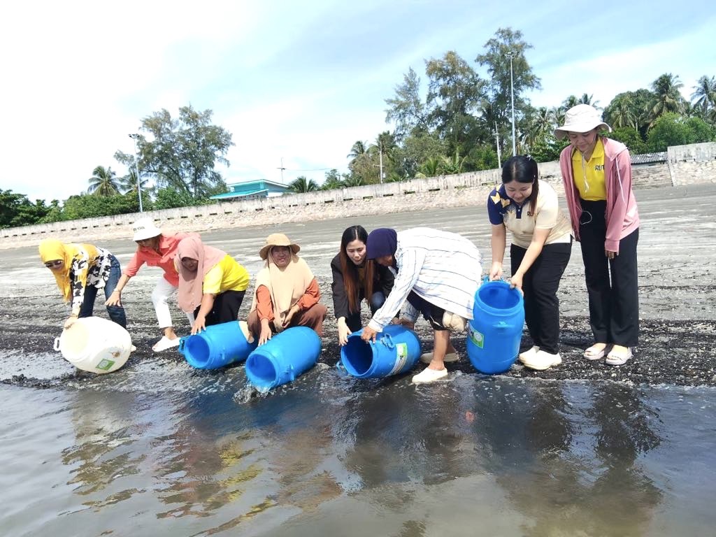 สตูล ดันเศรษฐกิจชุมชน! ยกระดับการตลาดออนไลน์