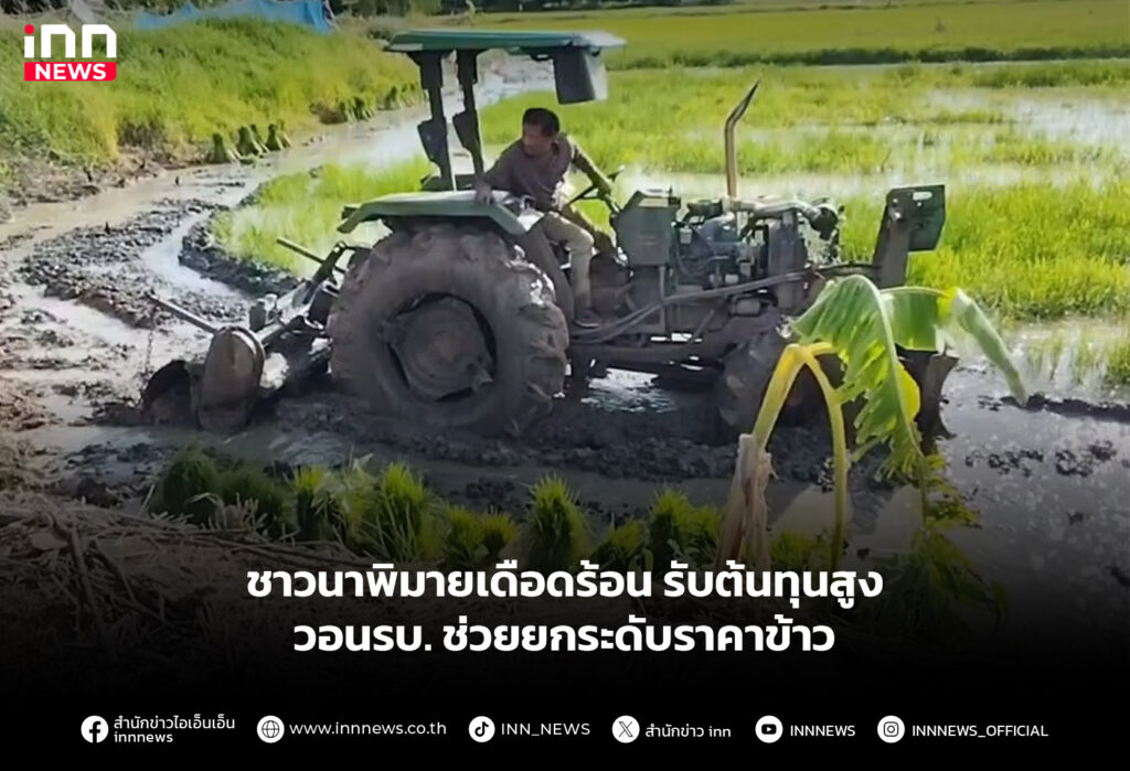 ชาวนาพิมายเดือดร้อน รับต้นทุนสูงวอนรบ.ช่วยยกระดับราคาข้าว