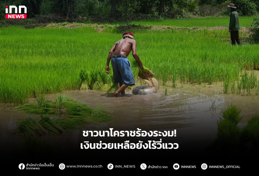 ชาวนาโคราชร้องระงม! เงินช่วยเหลือยังไร้วี่แวว