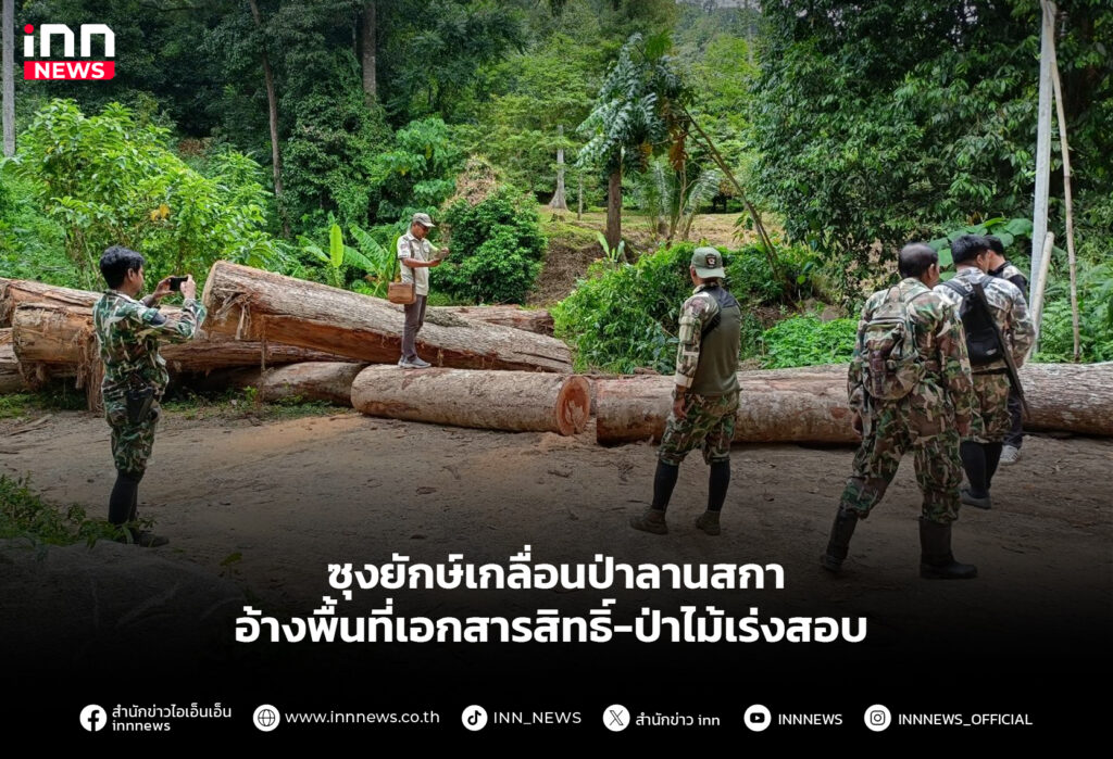ซุงยักษ์เกลื่อนป่าลานสกา อ้างพื้นที่เอกสารสิทธิ์-ป่าไม้เร่งสอบ