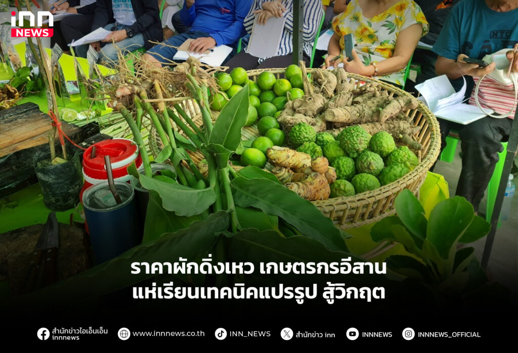 ราคาผักดิ่งเหว เกษตรกรอีสานแห่เรียนเทคนิคแปรรูป สู้วิกฤต