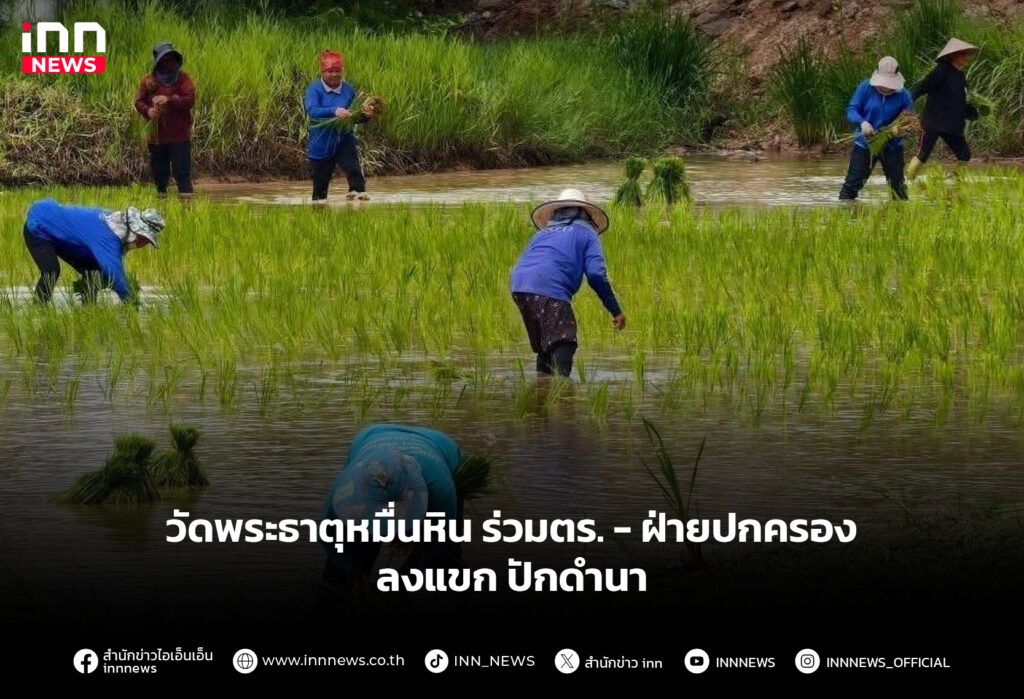 วัดพระธาตุหมื่นหิน ร่วมตร. - ฝ่ายปกครอง ลงแขกปักดำนา