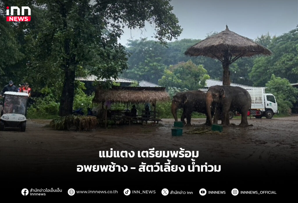 แม่แตง เตรียมพร้อมอพยพช้าง-สัตว์เลี้ยง น้ำท่วม