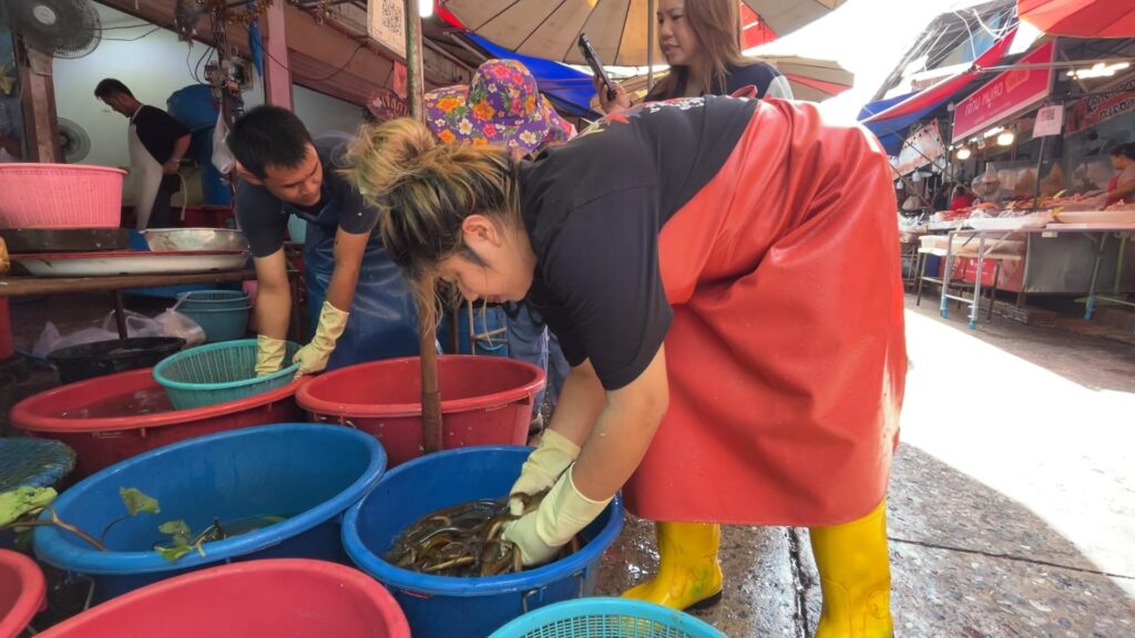 ขอนแก่น "ปลาช่อน-ปลาไหล" ขาดตลาดราคาพุ่ง - นำเข้าจากเขมรไม่ได้