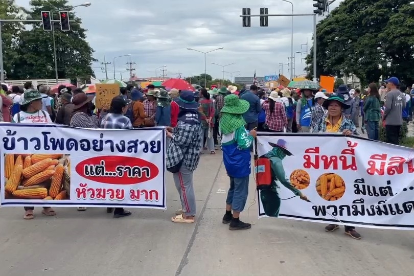 เกษตรกรเพชรบูรณ์ ปิดถนนเรียกร้องรบ. อุ้มราคาข้าวโพด