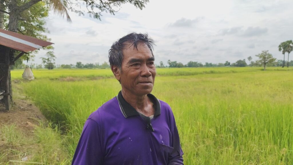 ชาวนาวอนรัฐบาลเห็นใจ เพิ่มเงินช่วยเหลือ ราคาข้าวยังตกต่ำ