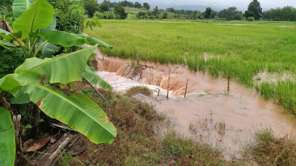 ฝนถล่มทั้งคืน น้ำป่าไหลหลากท่วมบ้าน-นาข้าวนครไทย
