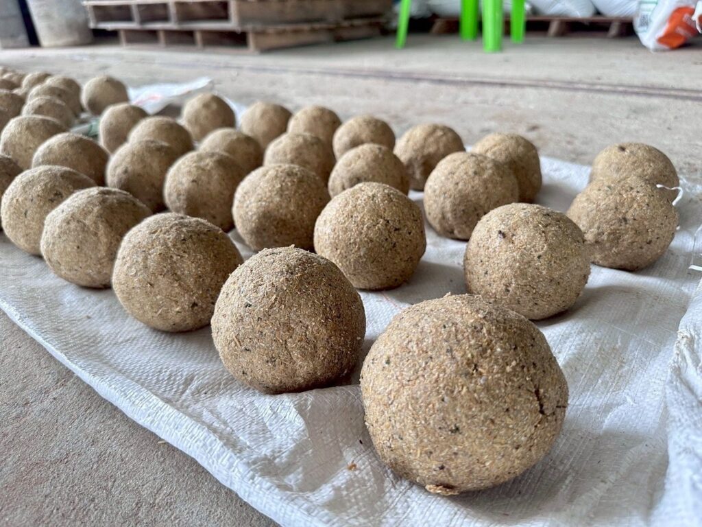 กรมประมง แนะสูตรผลิตอาหารสัตว์น้ำ จากวัตถุดิบท้องถิ่น