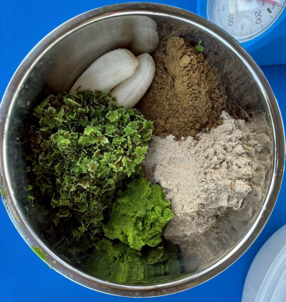 กรมประมง แนะสูตรผลิตอาหารสัตว์น้ำ จากวัตถุดิบท้องถิ่น