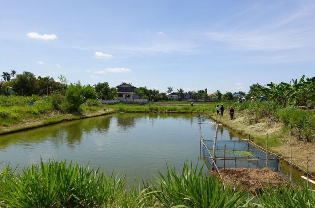 กรมประมง แนะสูตรผลิตอาหารสัตว์น้ำ จากวัตถุดิบท้องถิ่น