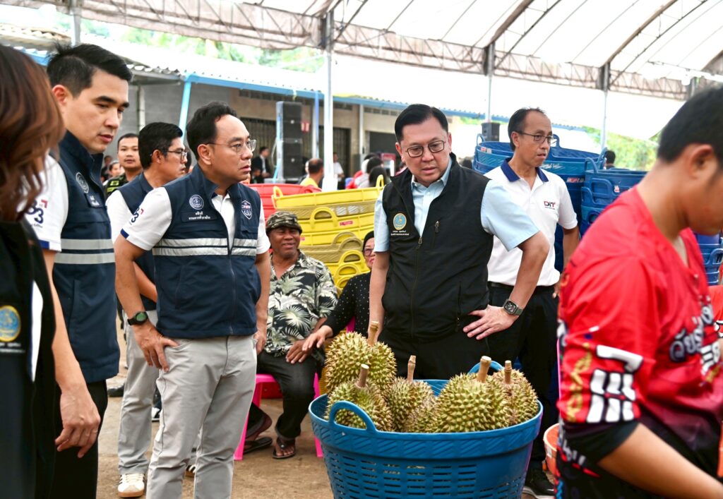 จตุพร ประกาศ “พาณิชย์พึ่งได้” หนุนทุเรียนเบตง ราคาขยับสูง