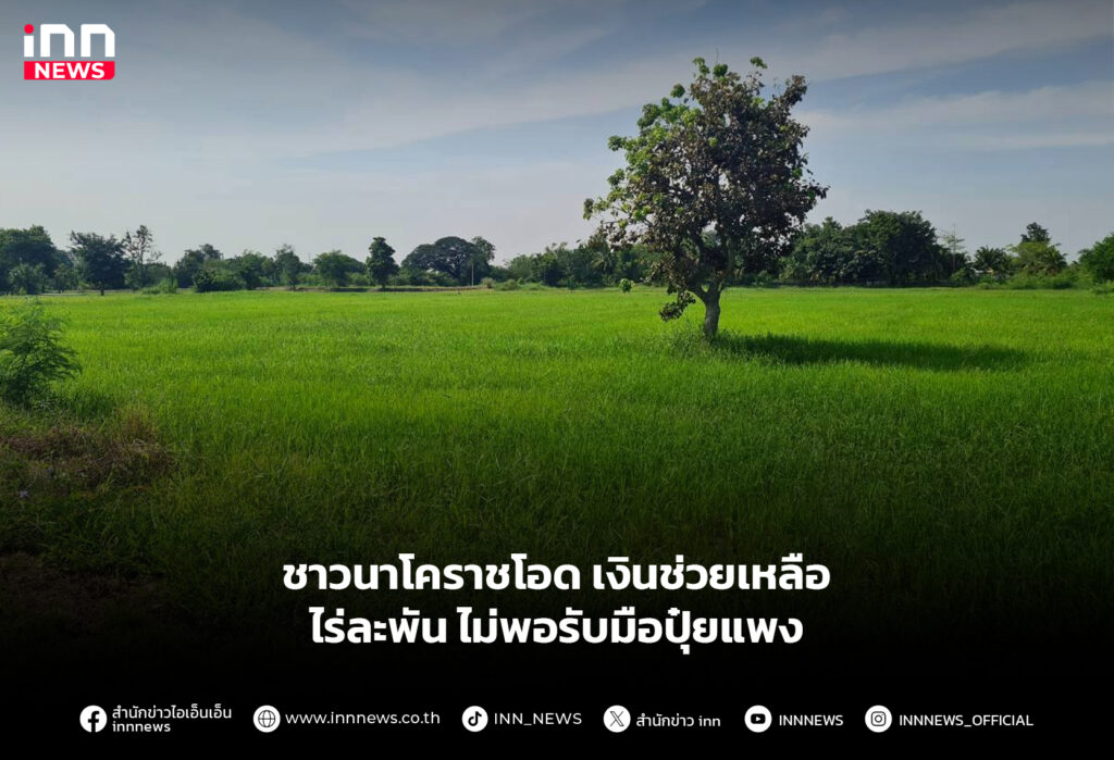 ชาวนาโคราชโอด เงินช่วยเหลือไร่ละพัน ไม่พอรับมือปุ๋ยแพง