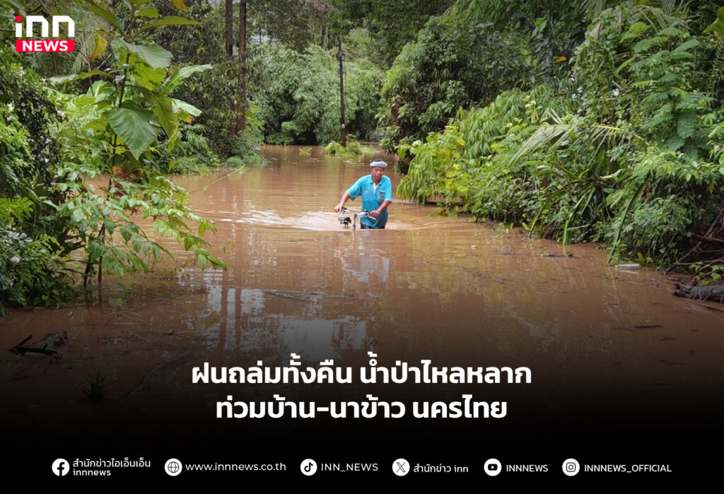 ฝนถล่มทั้งคืน น้ำป่าไหลหลากท่วมบ้าน-นาข้าวนครไทย