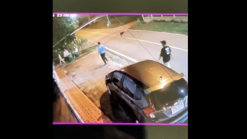 ขอนแก่น ตั้งกก.สอบรองผู้กำกับฯบ้านไผ่ ทำร้ายสาวท้อง 5 เดือน