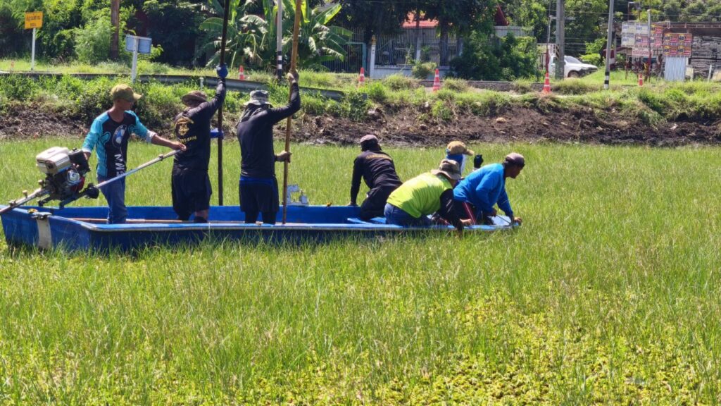 เขื่อนพิมาย เร่งระบายน้ำ รับมือมวลน้ำจากพายุลูกใหม่
