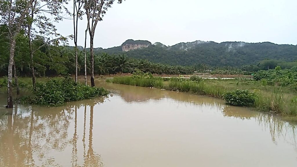 พายุ "บัวลอย" ถล่มสตูล! น้ำท่วมถนนสายหลักละงู-ฉลุง