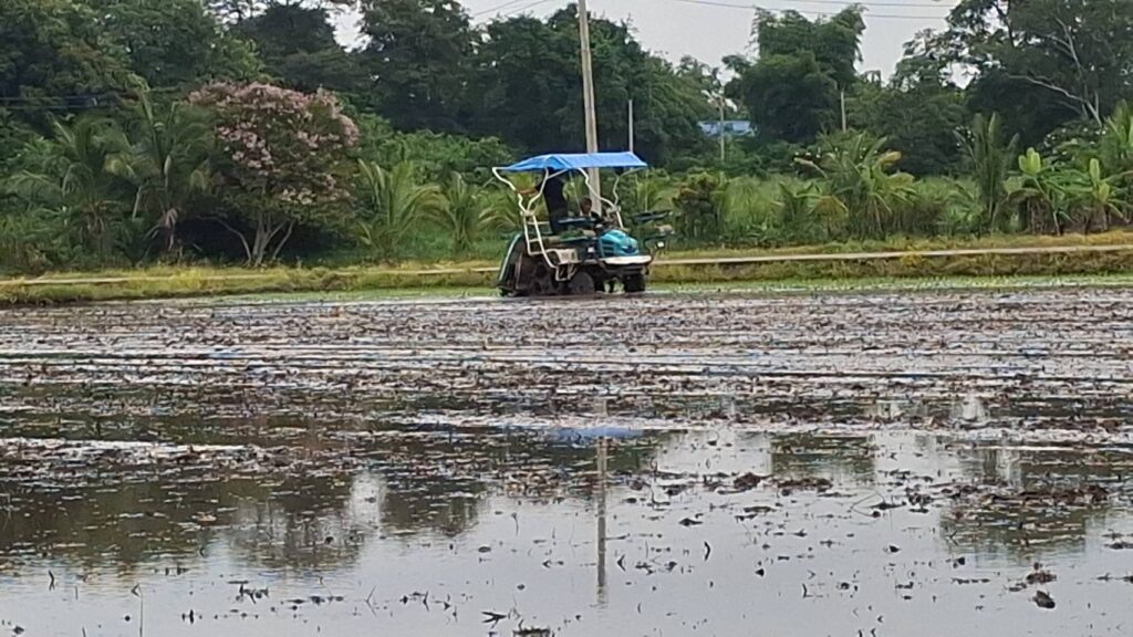 ชาวนาโคราชฝาก รบ.ใหม่ รับซื้อข้าวอย่างน้อย กก.ละ 9 บาท 