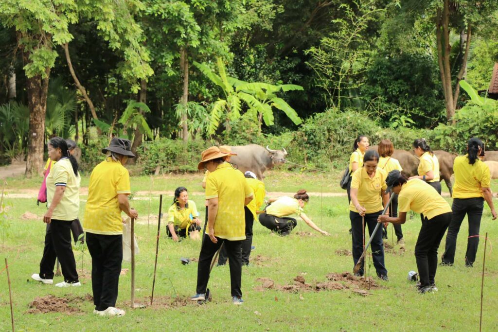 รวมพลังปลูกต้นไม้คนละต้น เพิ่มพื้นที่สีเขียว เพื่อคนกาฬสินธุ์