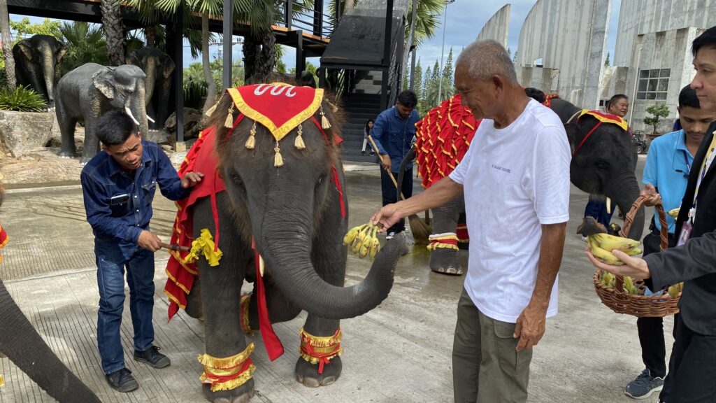 สวนนงนุชสุดปลื้ม ลูกช้างเชือกใหม่ "พลายศรีวิชัย" ลืมตาดูโลก