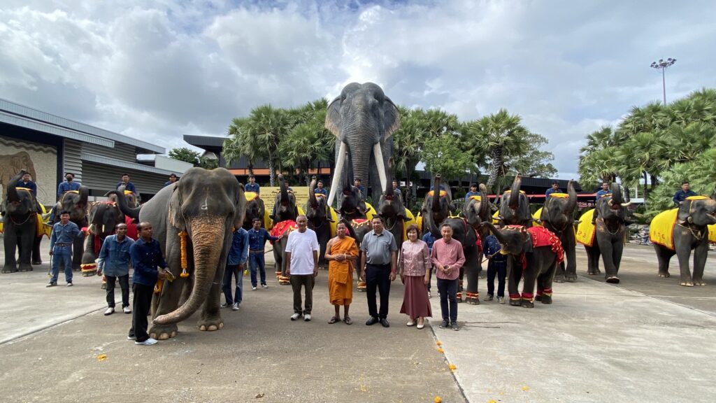 สวนนงนุชสุดปลื้ม ลูกช้างเชือกใหม่ "พลายศรีวิชัย" ลืมตาดูโลก