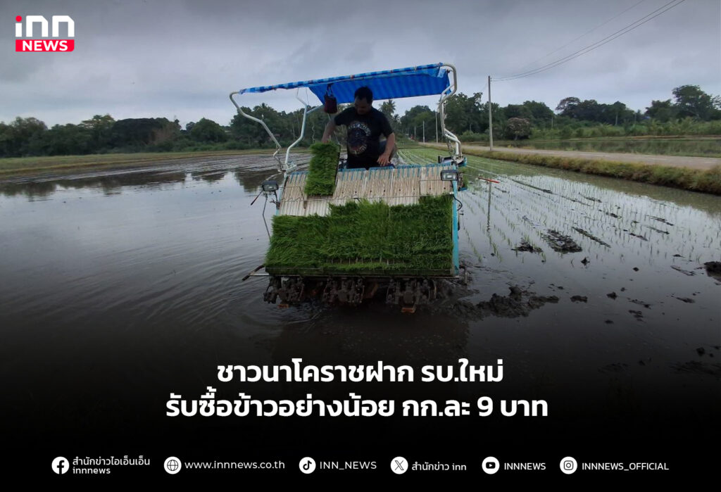 ชาวนาโคราชฝาก รบ.ใหม่ รับซื้อข้าวอย่างน้อย กก.ละ 9 บาท