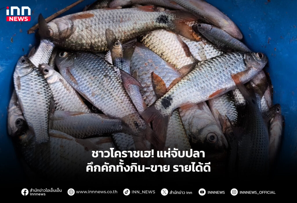 ชาวโคราชเฮ! แห่จับปลา คึกคักทั้งกิน-ขาย รายได้ดี