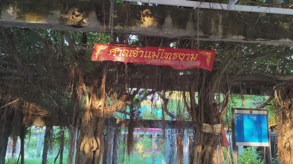 น้ำลำมูลเพิ่มสูง ล้นเขื่อนพิมาย-เร่งย้ายเจ้าแม่ไทรงามหนีน้ำท่วม