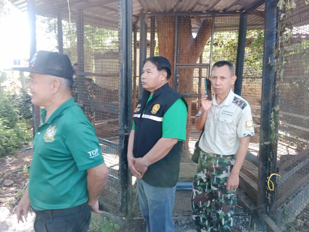 "สุชาติ" สั่งเอาผิดเจ้าของทำสิงโต หลุดทำร้ายเด็ก