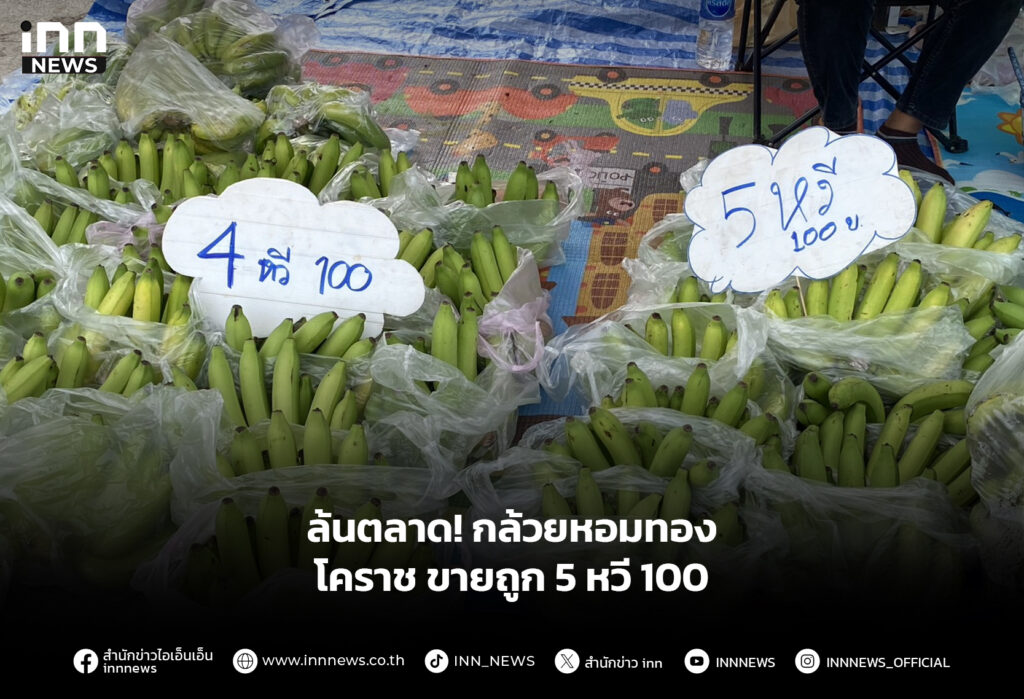 ล้นตลาด! กล้วยหอมทองโคราช ขายถูก 5 หวี 100