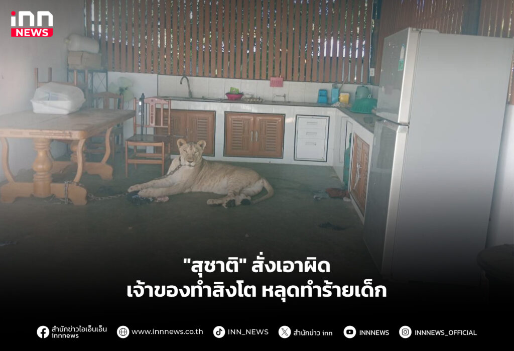 "สุชาติ" สั่งเอาผิดเจ้าของทำสิงโต หลุดทำร้ายเด็ก