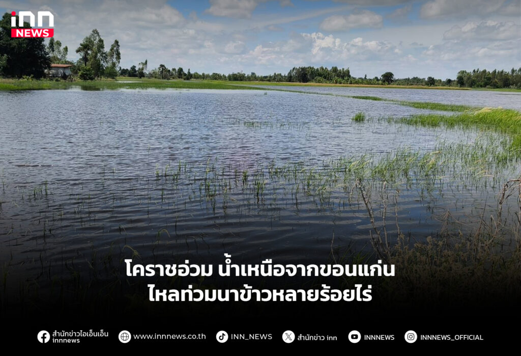 โคราชอ่วม น้ำเหนือจากขอนแก่น ไหลท่วมนาข้าวหลายร้อยไร่