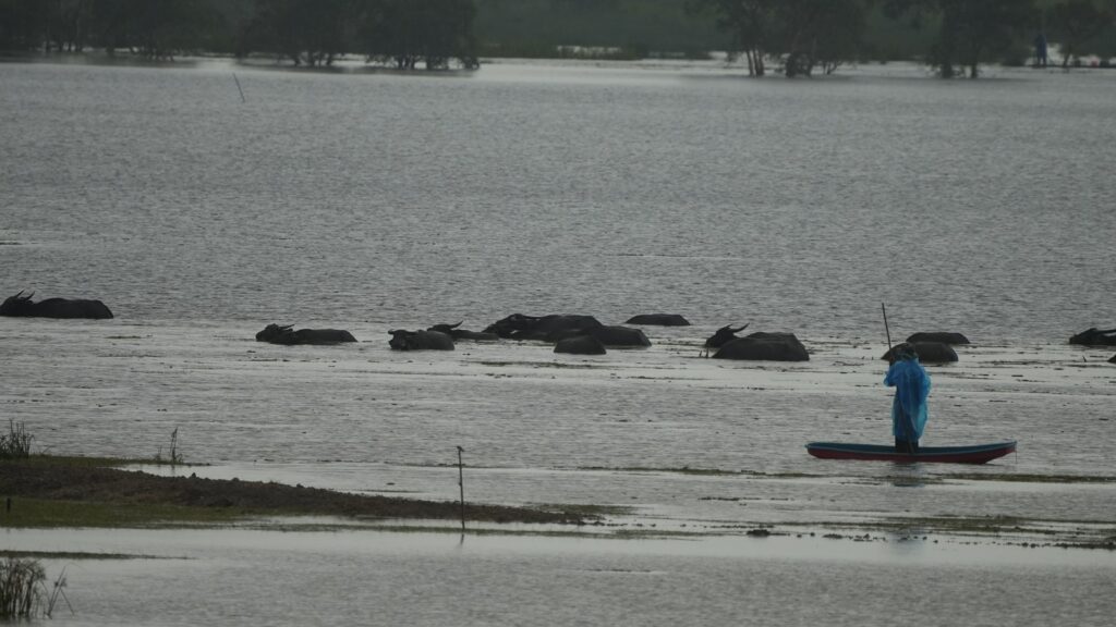 พัทลุงน้ำท่วมขยายวงกว้าง ฝนยังตกหนักต่อเนื่อง