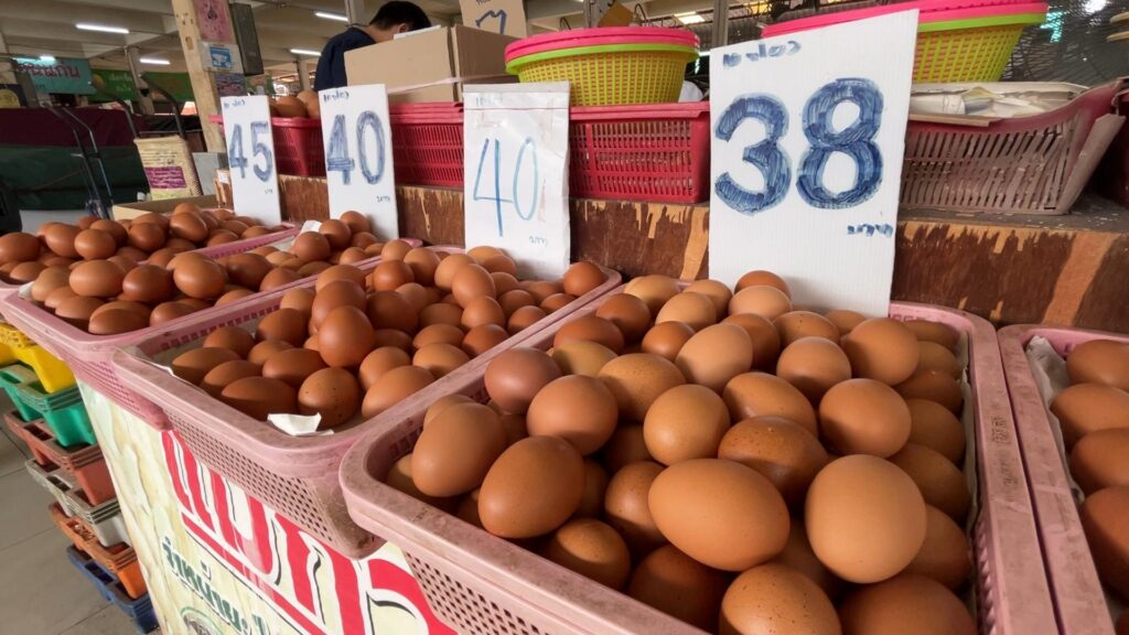 ไข่ไก่ขอนแก่น ราคาตกแผงละ 10-15บ. คาดปีใหม่กลับสู่ภาวะปกติ