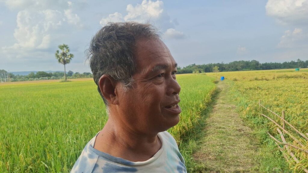 ชาวนาโคราช บ่นอุบขายข้าวเปลือกได้ กก.ละ 5.40 บ. วอนรัฐช่วย