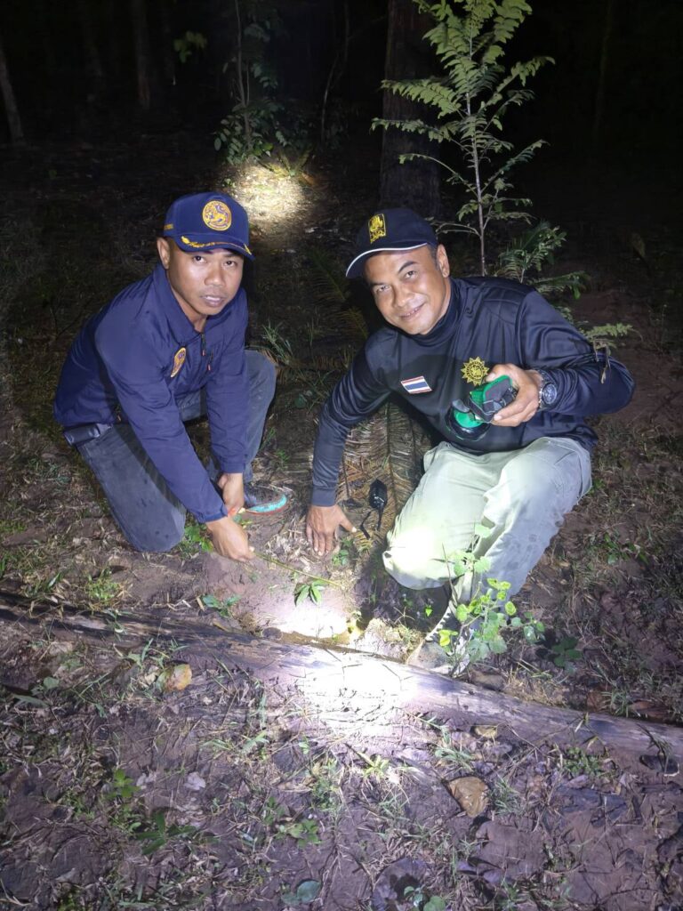 ช้างป่าทับลาน 100 ตัว เหยียบย่ำพืชผลเกษตรเสียหาย 2 อำเภอ 