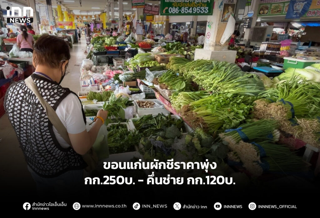 ขอนแก่นผักชีราคาพุ่ง กก.250บ. - คึ่นช่าย กก.120บ.