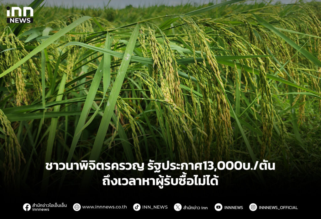 ชาวนาพิจิตรครวญ รัฐประกาศ13,000บ./ตัน ถึงเวลาหาผู้รับซื้อไม่ได้