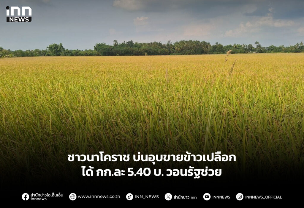 ชาวนาโคราช บ่นอุบขายข้าวเปลือกได้ กก.ละ 5.40 บ. วอนรัฐช่วย