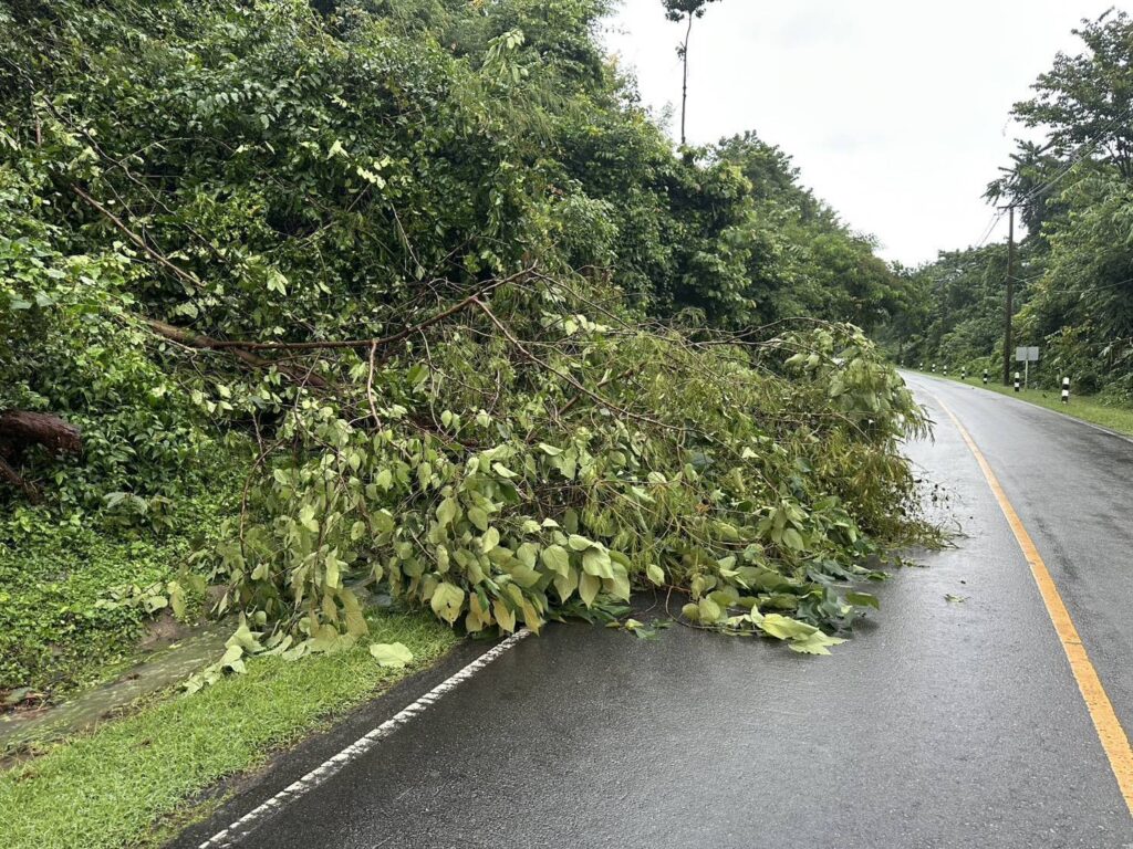 น้ำป่าเขาใหญ่ ไหลหลาก ทะลักลงลำตะคองมากสุดในรอบปี