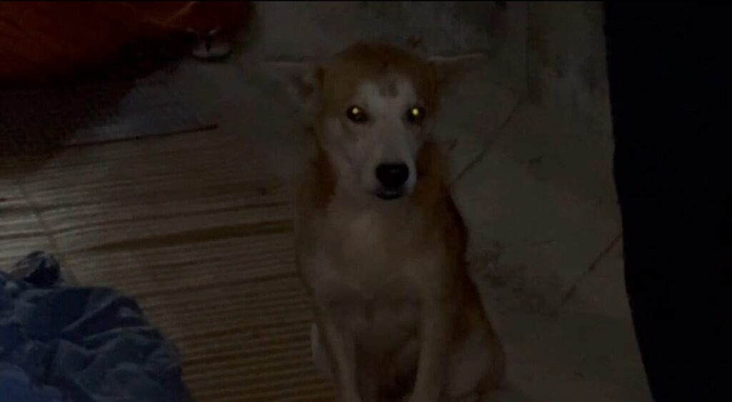 ศรีสะเกษ เสียงปืนใหญ่สนั่นชายแดน! ชาวบ้านแตกฮือเข้าบังเกอร์