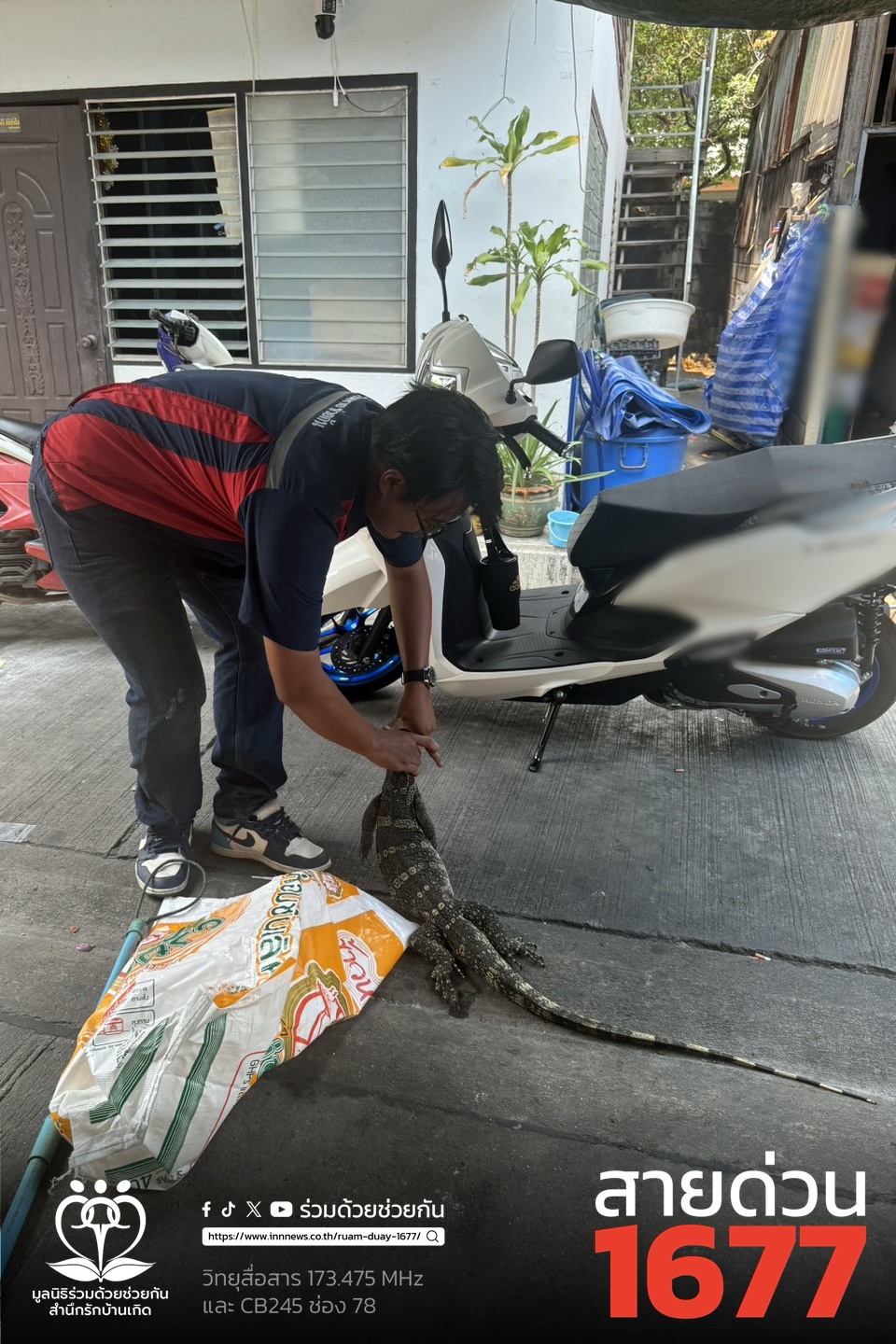 ตัวเงินตัวทองเข้าห้องน้ำ ซอยอินทามาระ 41